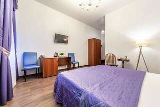 Гостиница Времена года Санкт-Петербург Полулюкс-5