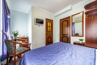 Гостиница Времена года Санкт-Петербург Номер стандарт с 1 двуспальной кроватью-9